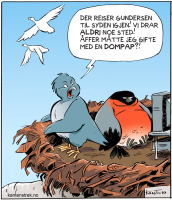 Firekanta Strip - Digital color. Line-art by Nils Axle Kanten. 2009